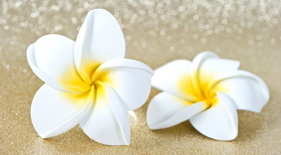 Massaggio Hawaiano